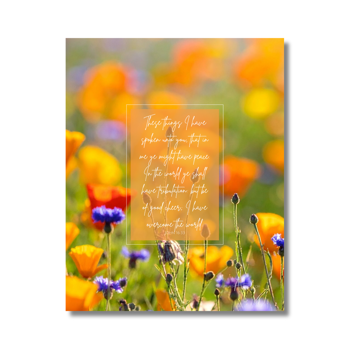 Be of Good Cheer Wall Art - Orange Flowers