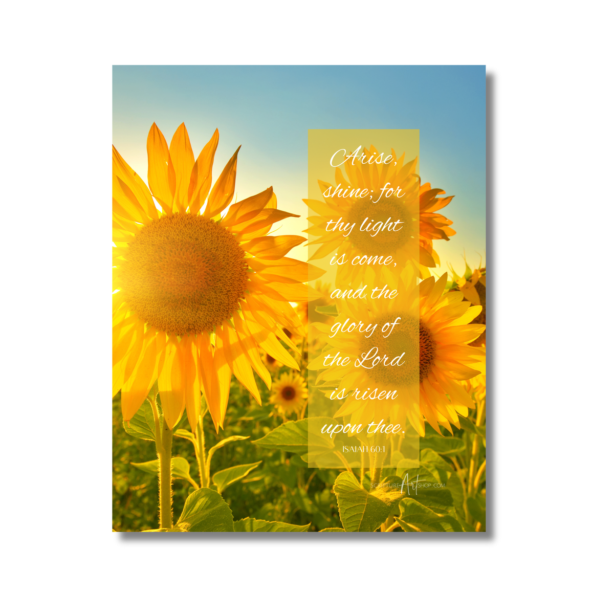 Arise, Shine Wall Art - Sunflower