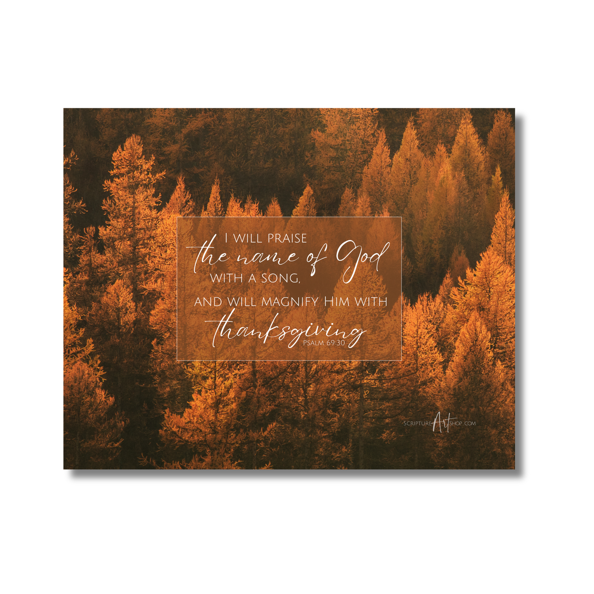 Praise God with a Song Wall Art - Orange Trees