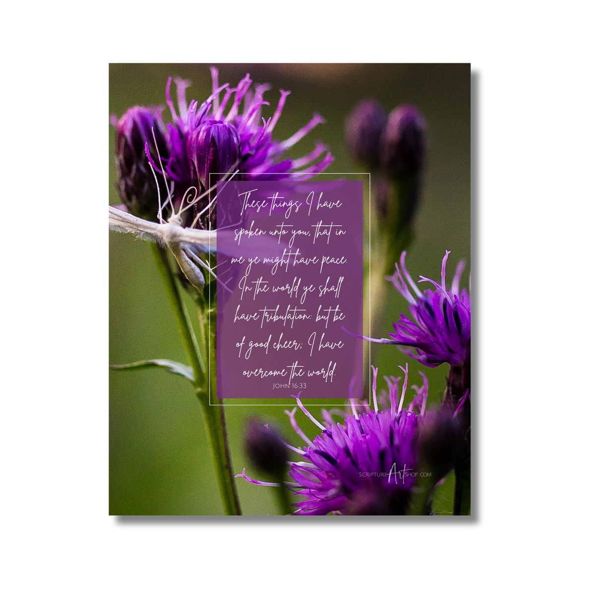 Be of Good Cheer Wall Art - Purple Flowers